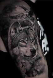 566205397_1151291053767697_5100356827661654031_n