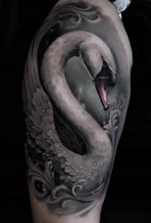 647680465_122161247150739104_112904264222817060_n