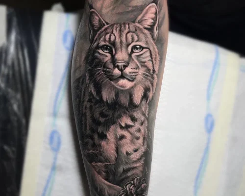 Elena 5
